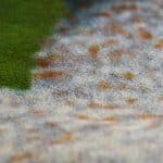 فرش محتشم4-100499-min