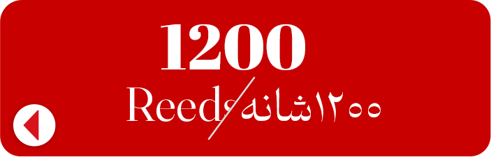 1200شانههه