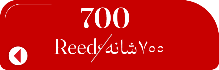 700شانهههه