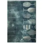 محتشم–کلاریس-کد-101497