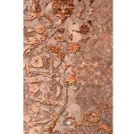 محتشم.گلاریس-نوستارژی-.-300606کرم-1