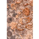 محتشم.گلاریس-نوستارژی-.-300606کرم-2